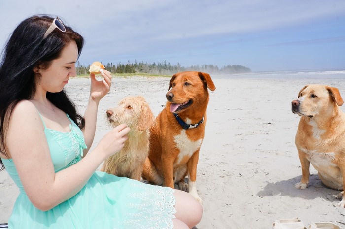 sage_teal_guess_dress_puppies_beach