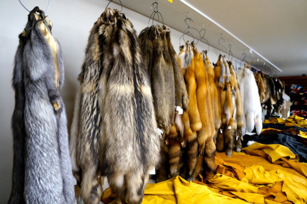 animal furs at iroqrafts