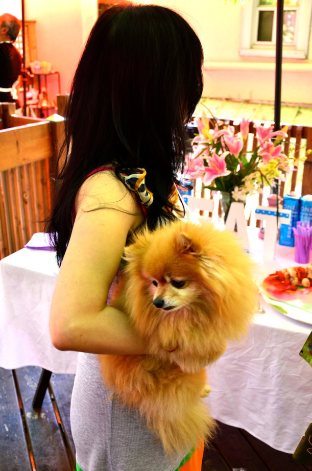Baby, Jane's pomeranian