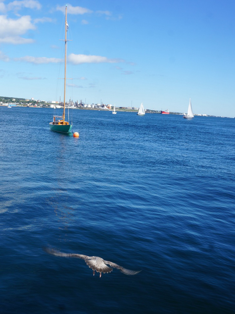 purple pleated dress 7