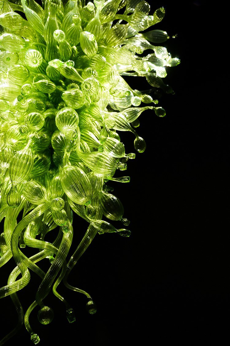 chihulymuseum12