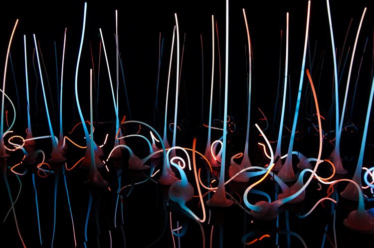 chihulymuseum1