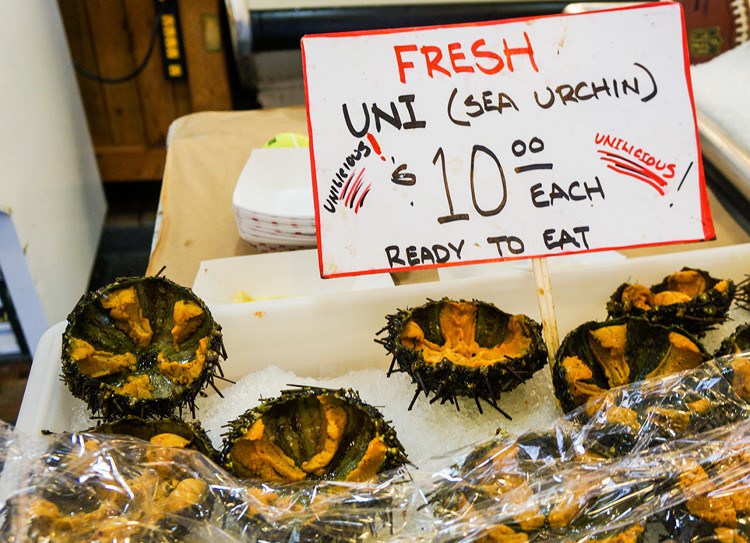 SeaUrchinsSeattleMarket