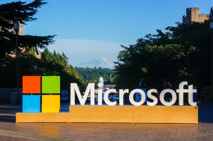 microsoft_mount_rainier_seattle_university_washington_view