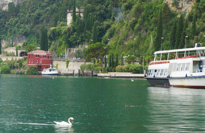 riva_del_garda_swan_photography