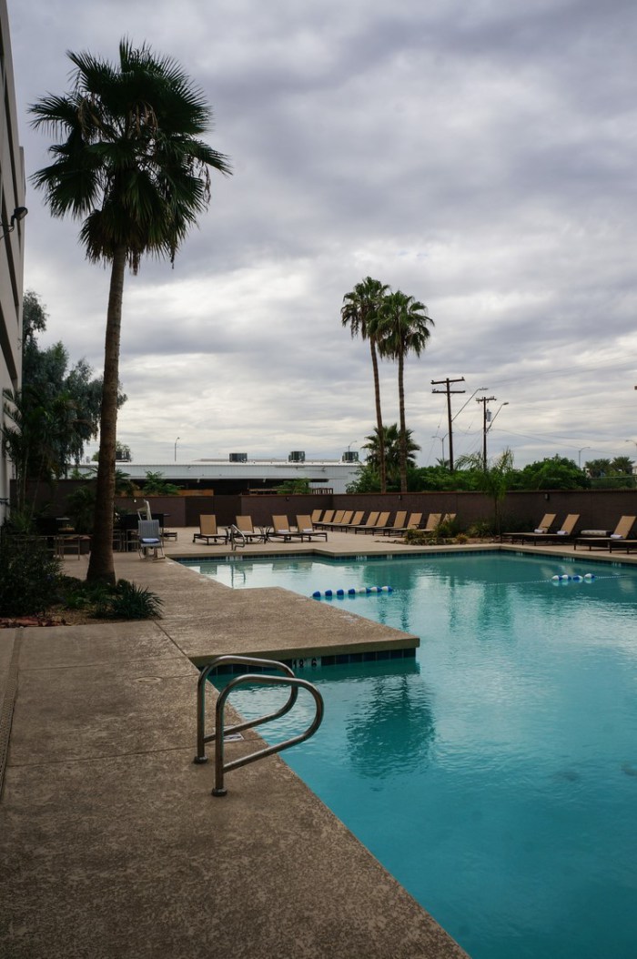 crowne_plaza_phoenix_airport_hotel_swimming_pool_palm_trees