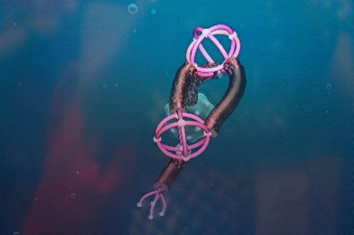 grace_hopper_celebration_of_women_in_computing_2014_phoenix_arizona_11