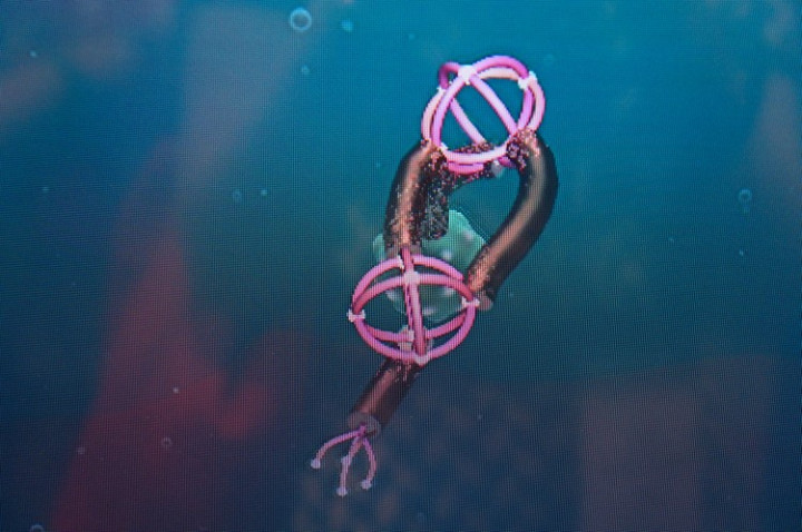 grace_hopper_celebration_of_women_in_computing_2014_phoenix_arizona_11