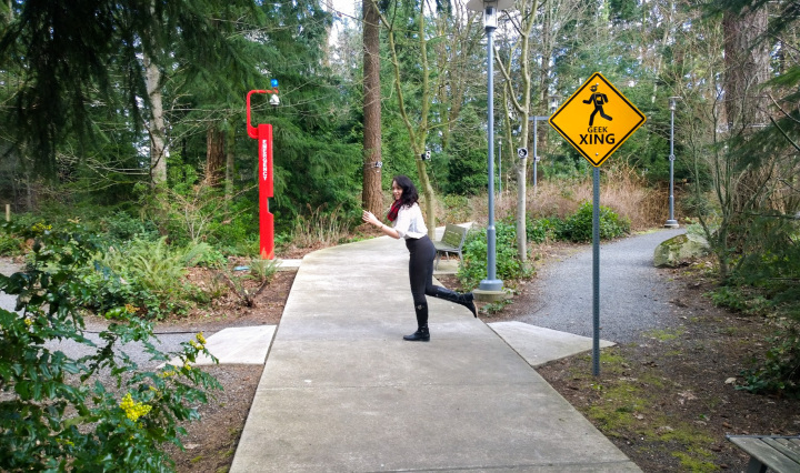 geek_crossing_sage_franch