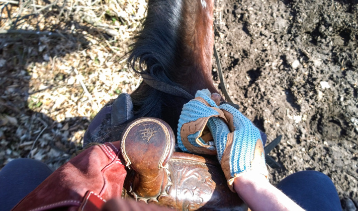 horseback_riding_wildwood_manor_ranch_april_2015_10