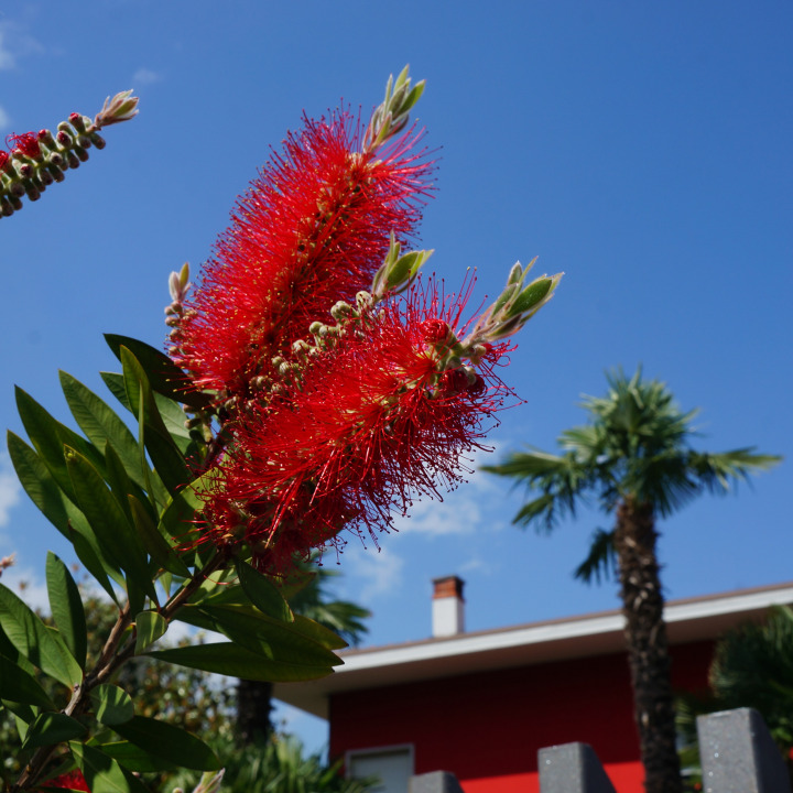 italian_beach_day_riva_del_garda_sage_7
