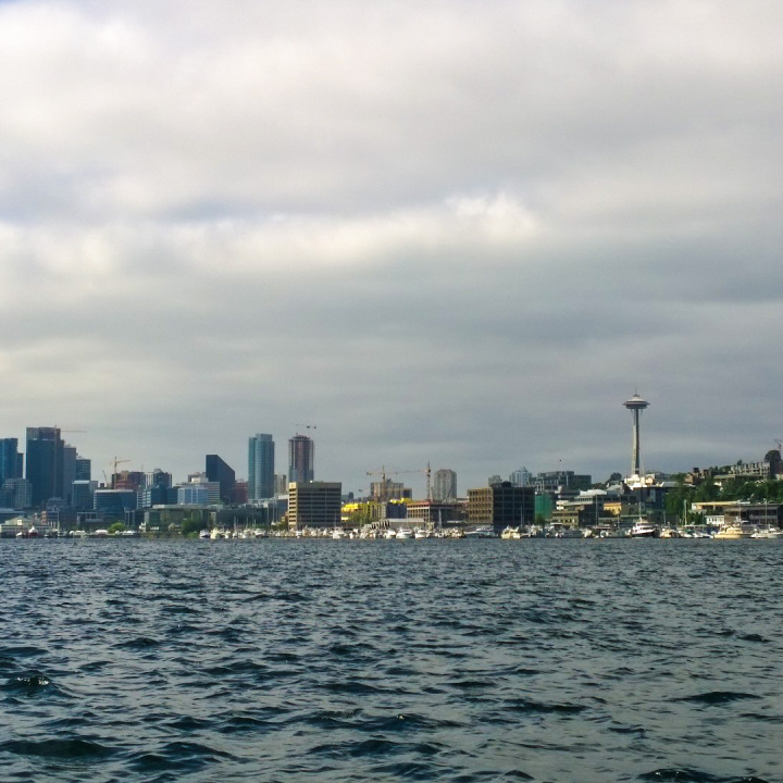 seattle_space_needle_lake_washington_trendy_techie_skyline