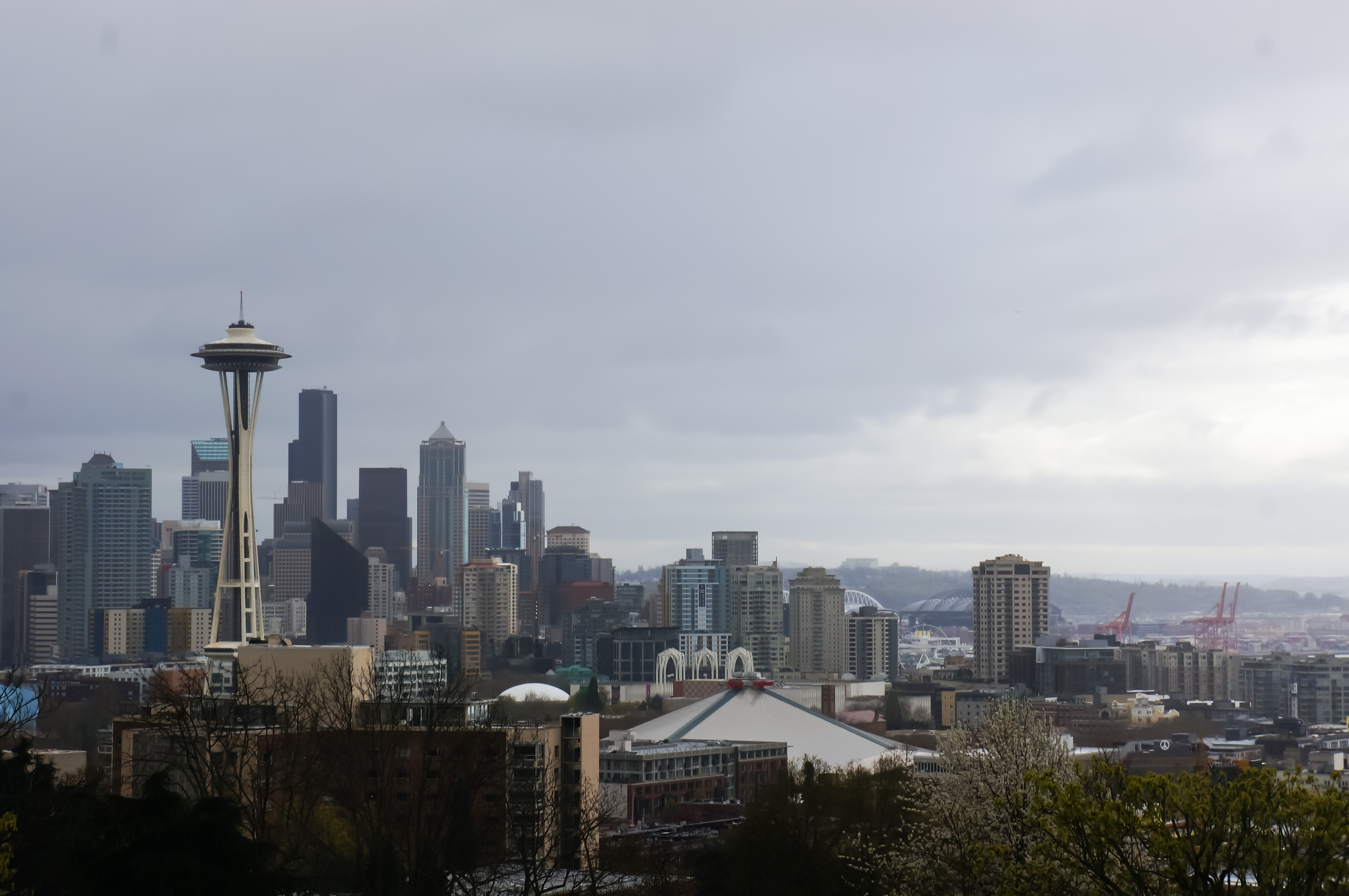 sage_franch_trendy_techie_washington_seattle_space_needle_kerry_park_1