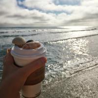 Reflections on my Two Week Digital Detox