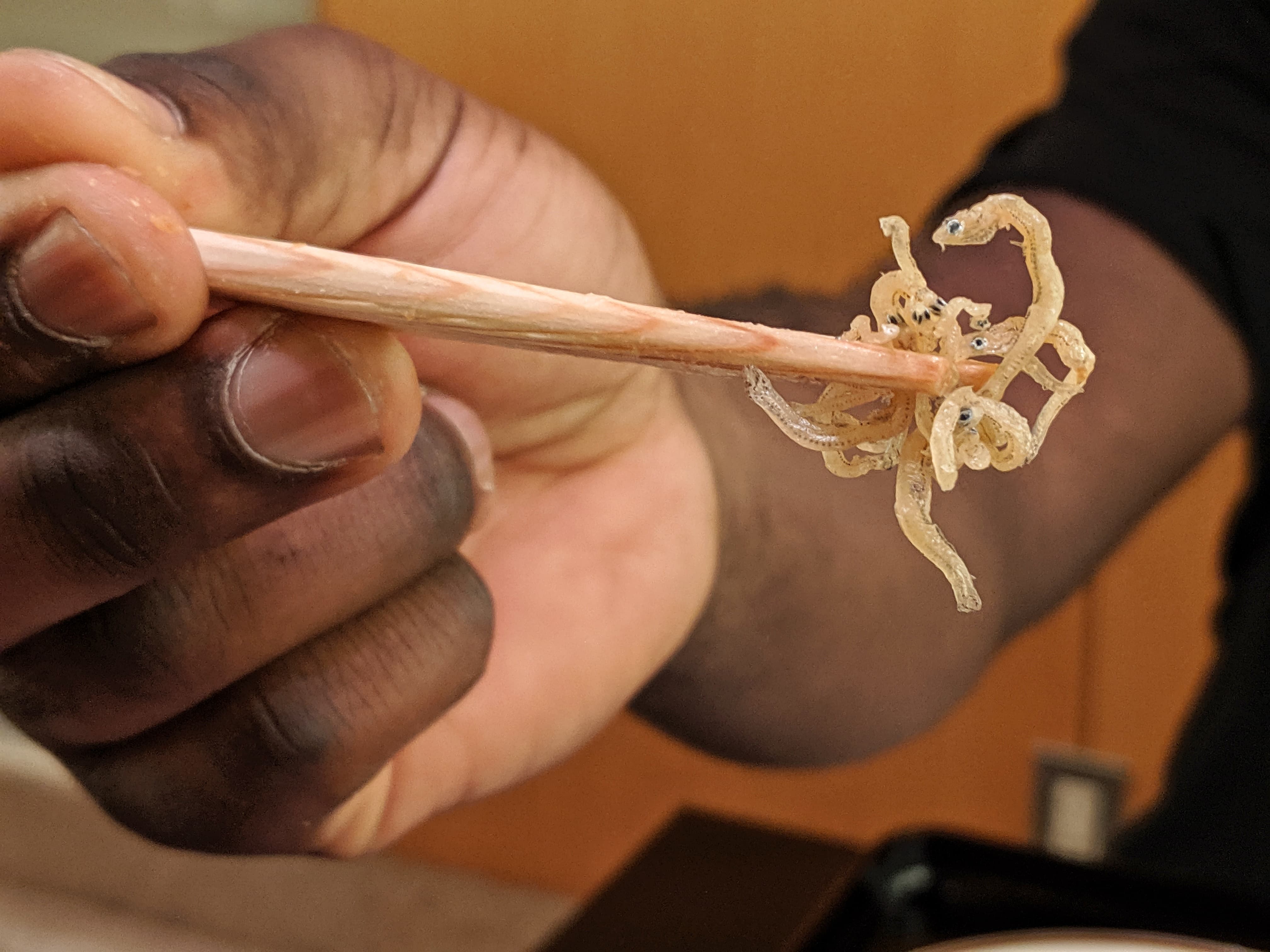 sage_franch_trendy_techie_tokyo_japan_g20_yea_hyatt_regency_breakfast_bait