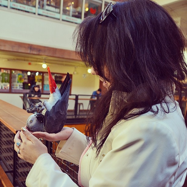 This African grey was so well trained! She could meow like a cat and bark like a dog, and play dead while making an explosion sound. Amazing.