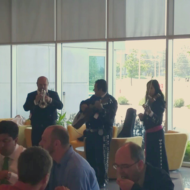 Never a dull moment at @microsoftcanada! Was welcomed back with a mariachi band.