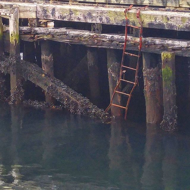 Saw this rickety old ladder downtown. Hope no one's planning to use this!