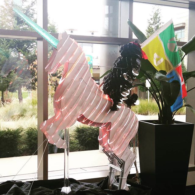 Just your friendly neighborhood ninja cat, riding on through the Microsoft commons!