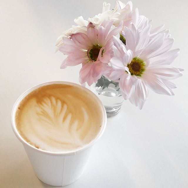 Result of attempting to teach @samdixon_123 "how to Instagram" 😂😂 ❤
.
.
#latte #basic #lifelessons #minimal