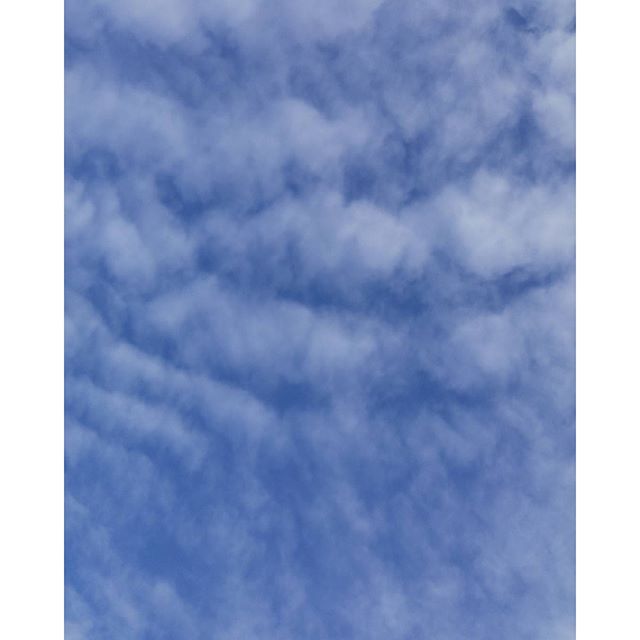 Blue sky ideation is about not applying limitations to your creativity. There's no harm in dreaming up dimension-breaking ideas, because sometimes it is in the extraordinary that we find innovation.
.
.
#bluesky #innovation #ideation #clouds #sky #dream #dreambig #nofilter #blogger #femalefounders #inspiration #motivation #limitless #torontoblogger #startuplife #maker #canadianblogger #halifaxblogger #womeninbusiness #womenintech #womenwhocode #buildthefuture