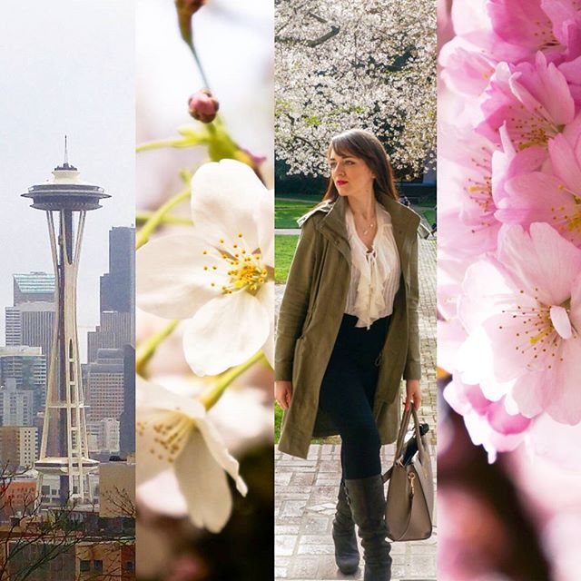 New post on #TrendyTechie.ca talking about the adventures of traveling alone. Photos taken at the beautiful University of Washington campus in end of March.
.
.
#blogpost #travel #cherryblossoms #sakura #uw #universityofwashington #seattle #washington #blogger #travelblogger #travelblog #style #fashion #styleblogger #fashionblogger #ootd #wiwt #beautiful #spacedneedle #adventure #solotravel #solo #pretty #flowers #spring #girlboss #traveller #wanderlust #seattleblogger